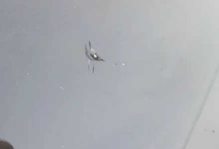 대전 테슬라 모델y 윈드쉴드 시공,전면유리깨짐 미리 보호해요. / 안성, 평택, 오산