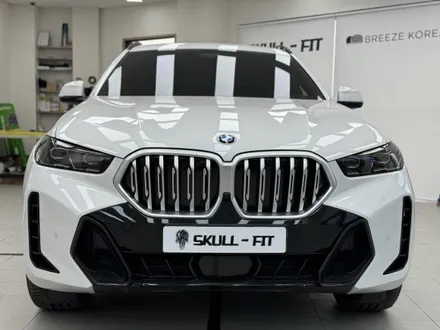 BMW X6 자동차 라이트필름 스모그 PPF시공으로 톤다운 / 안성, 평택, 오산