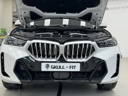 BMW X6 자동차 라이트필름 스모그 PPF시공으로 톤다운 / 안성, 평택, 오산