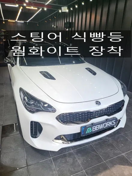 대구 북구 식빵등 ;; 스팅어 해치백 스타일 아닌 스포트백도 식빵등이 이만큼 잘 어울린답니다~^^ / 대구 북구 연경동