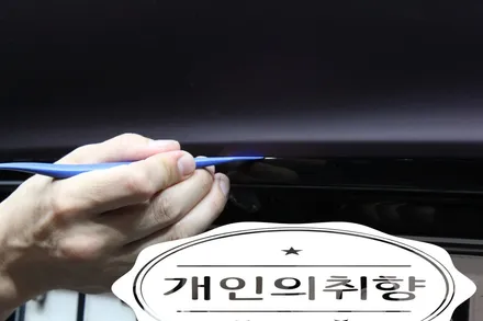 대구 북구 랩핑 :: 벨로스터JS 풀 랩핑 (KKVINYL 사틴 고스트 딥 퍼플) / 대구 북구 연경동