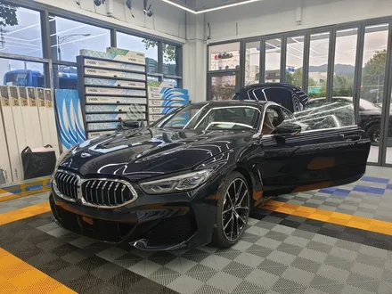 대구 PPF, 네카코리아 BMW 840i 프론트 PPF+생활보호패키지 시공 후기 입니다. / 부천 원미구 상동