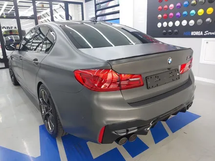 BMW M5 컴페티션 35주년 에디션/ 무광전체PPF / 네카코리아 / 부천 원미구 상동