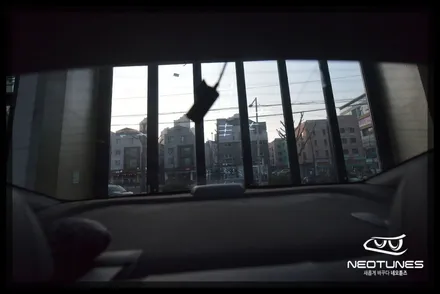 더뉴 k5 레이블럭 열차단썬팅 시공 / 용인 처인구, 이천