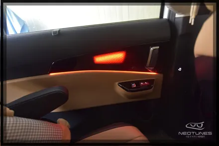 올뉴 카니발 KA4 RGB 히든타입 엠비언트 / 도어등 작업 / 용인 처인구, 이천