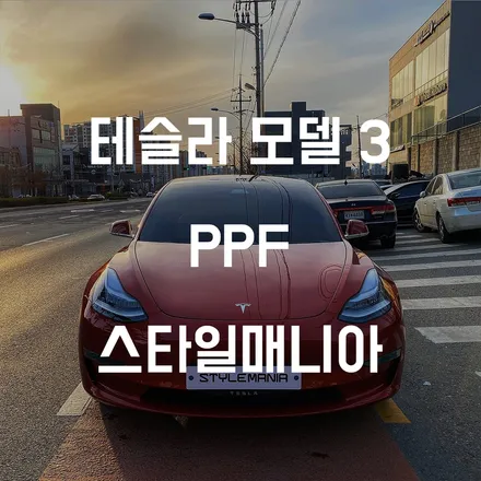 테슬라 모델3 PPF 및 가죽코팅 시공!![송파 PPF ,테슬라 썬팅, 가죽코팅,유리막코팅 전문점] 스타일매니아 / 하남시 감북동