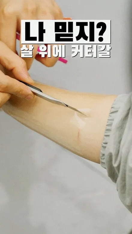레인지로버 스포츠 크롬죽이기부터 전체PPF까지 / 하남시 감북동