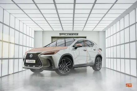 카바차 부분PPF, 본넷PPF, 생활보호PPF 렉서스 NX350h / 하남, 강동, 송파