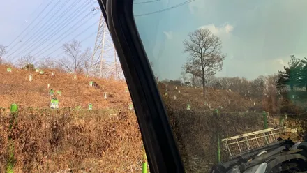 같은 작업 다른 느낌! 팰리세이드 잠실 신차패키지 7번!! / 하남시 감북동