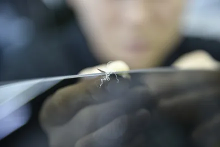 테슬라 전기차 모델3 존슨썬팅 송파 스타일매니아 / 하남시 감북동