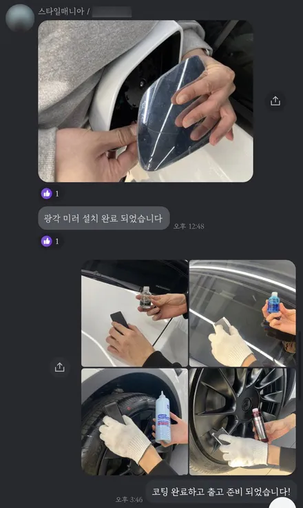 내 테슬라, 돌빵 피하는 방법? 스타일매니아에서 테슬라 프리미엄 패키지 받기! / 하남, 강동, 송파