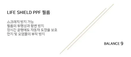 ★스타일매니아 라이프쉴드 PPF 특별 이벤트★ / 하남, 강동, 송파