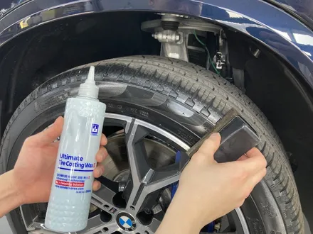 내 차, BMW를 지키는 방법? 스타일매니아에서 전체 PPF 패키지 선택하기!(신차패키지) / 하남, 강동, 송파