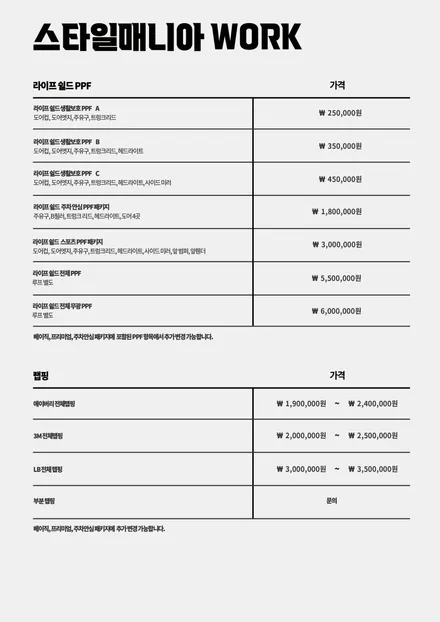 화성 갈끄니까~테슬라 모델3 - 스타일매니아 신차패키지(썬팅부터 풀방음까지) 시공기 / 하남, 강동, 송파
