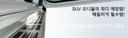 신형카니발/하이리무진에 진행된 신차검수, 신차패키지 인기 작업 / 하남, 강동, 송파