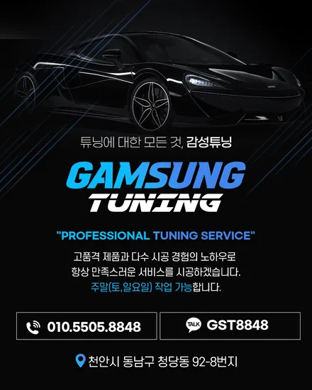 카니발KA4 비노출엠비언트는 천안 감성튜닝입니다!! / 천안시 동남구