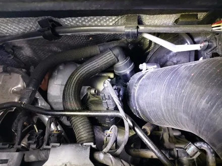 바이퍼라인 스티커 식빵등 아우디스포츠 TT mk3 8s 인렛 PPF 랩핑 구미 니트로 / 구미시 양호동