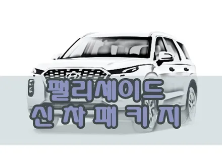 [대구 팰리세이드 신차패키지] 레이노S9 시공은 역시 N모터스! / 대구 달서구 이곡동