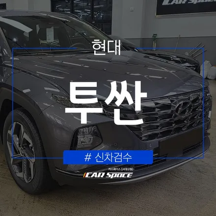 투싼 타이탄 그레이에서 발견된 결함 / 대구 달서구 이곡동