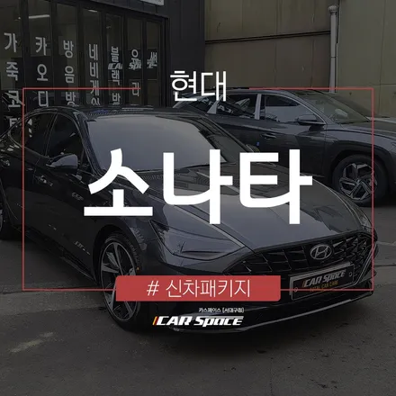 각종 코팅 작업으로 소나타 보호하기! / 대구 달서구 이곡동