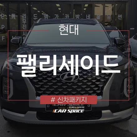 팰리세이드, 티나인 반사 필름과 신차패키지 작업 완료되었습니다. / 대구 달서구 이곡동