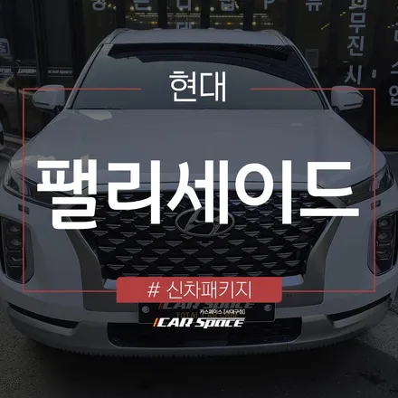 언더코팅 작업으로 하부 보호 완료된 팰리세이드! / 대구 달서구 이곡동
