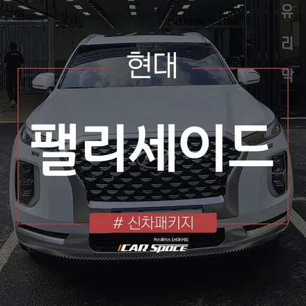 인기 신차패키지 작업과 언더코팅 작업으로 완성된 팰리세이드! / 대구 달서구 이곡동