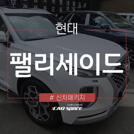 팰리세이드에 완벽 맞춤 신차패키지 추천! / 대구 달서구 이곡동