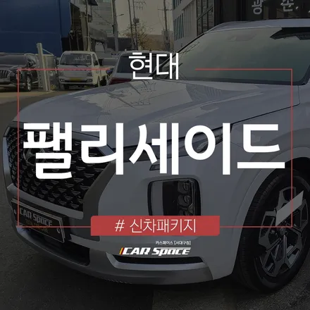 팰리세이드, 스탠다드 패키지에 언더코팅 작업을 더해 더 완벽하게! / 대구 달서구 이곡동