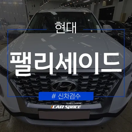 팰리세이드 검수 결과, 이상 없음! / 대구 달서구 이곡동