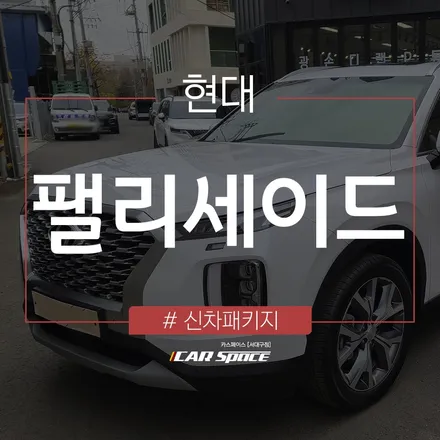 팰리세이드에 추가된 세련된 고급스러움 / 대구 달서구 이곡동