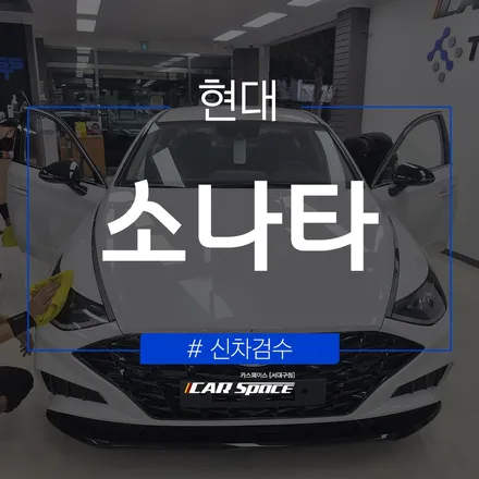 전문가의 꼼꼼한 검수, 카스페이스 서대구점의 소나타 검수 결과 / 대구 달서구 이곡동