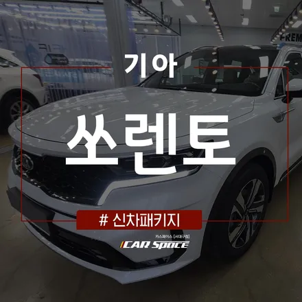 쏘렌토) 내부 시인성을 고려한 농도로 레이노 S9 시공! / 대구 달서구 이곡동
