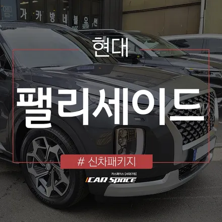팰리세이드 외부, 하부 보호를 위한 코팅 작업 완료 + 티나인 R70 / 대구 달서구 이곡동
