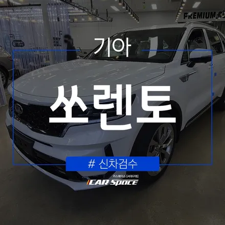 [대구 신차검수] 쏘렌토의 미세한 하자까지도 놓치지 않고 정확하게 / 대구 달서구 이곡동