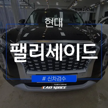 신뢰할 수 있는 대구 신차검수, 팰리세이드에서 발견한 하자 / 대구 달서구 이곡동