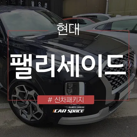 팰리세이드 대구 썬팅, 거울 반사로 확실한 프라이버시 보호 효과 / 대구 달서구 이곡동