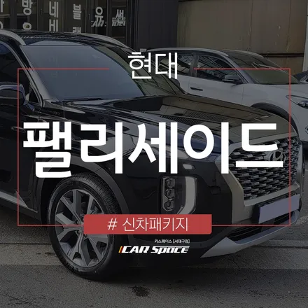 올블랙 팰리세이드 감성, 대구 신차패키지 전문 티나인 R100 시공 / 대구 달서구 이곡동