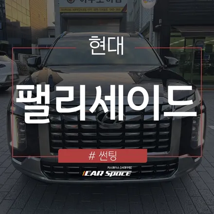 대구 썬팅 전문) 더 뉴 팰리세이드에 은은한 반사감이 더해지다. / 대구 달서구 이곡동