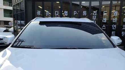 언더코팅 작업으로 하부 보호 완료된 팰리세이드! / 대구 달서구 이곡동