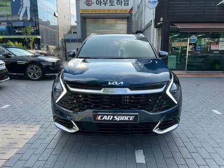 스포티지 차량에 더해진 은은한 반사색감! 대구 신차패키지 시공 / 대구 달서구 이곡동
