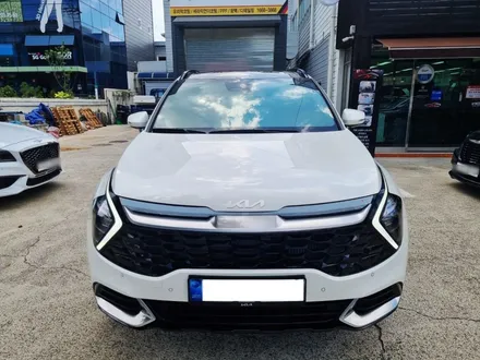스포티지 차량에 시공된 티나인 R100과 티나인 V100 ! / 대구 달서구 이곡동