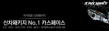 올블랙 팰리세이드 감성, 대구 신차패키지 전문 티나인 R100 시공 / 대구 달서구 이곡동