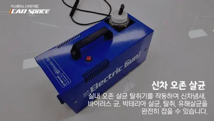 스포티지 정글 우드 그린 색상과 잘 어울리는 썬팅, 레인보우 i90 / 대구 달서구 이곡동