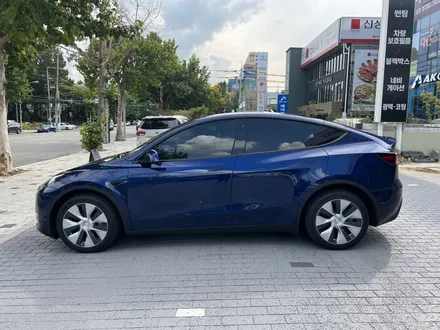 대구 테슬라썬팅. 모델Y 유리 농도가 달라도 딱히 걱정할 필요없음 / 대구 달서구 이곡동