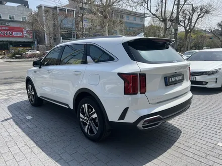 대구 신차패키지 티나인썬팅 V100 그리고 애프터블로우까지 안되는게 없는 패키지 전문점 / 대구 달서구 이곡동