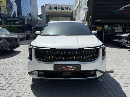 대구 사이드스텝 장착, 카니발은 북미형이 대세? 신차패키지는 N모터스가 대세 / 대구 달서구 이곡동