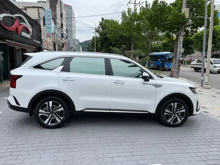 대구신차패키지, 특별한 검수 공정이 있는 프리미엄 / 대구 달서구 이곡동