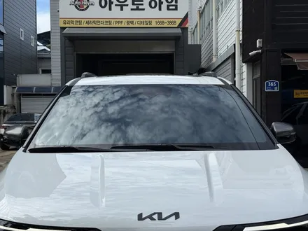 대구 후퍼옵틱 썬팅 카니발 신차패키지 클래식 럭셔리 / 대구 달서구 이곡동