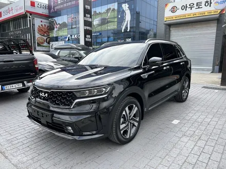 대구 신차패키지 그리고 소소한 튜닝 쏘렌토 MQ4 바보등 설치 / 대구 달서구 이곡동